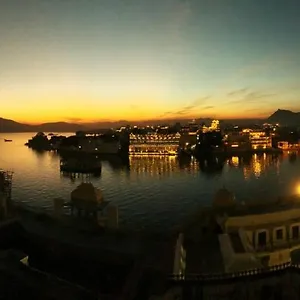 The Tiger Udaipur